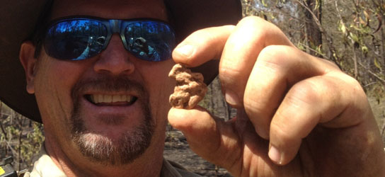 Metal detecting finds - gold nugget