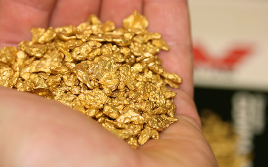 Gold 20 ounces of small nuggets