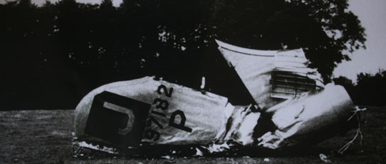 Wartime crash photo showing Ding Dong Daddy`s tail section in 1944.