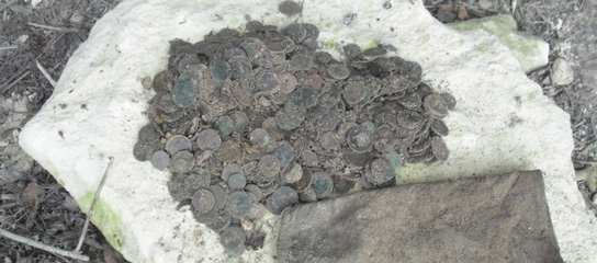 700 coin hoard found with a X-TERRA metal detector