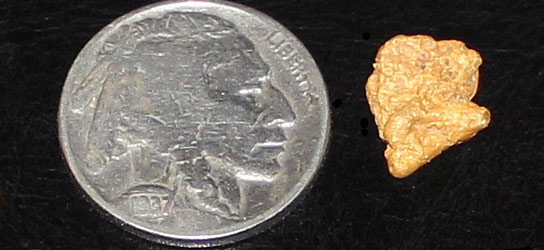 2 gram gold nugget