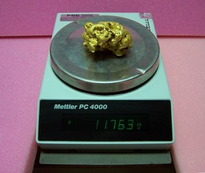 Gold nugget found with with GPX 5000.jpg