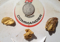 metal detector find - gold nuggets - usa