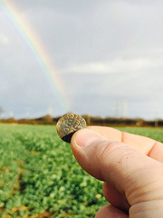 metal-detector-finds-700yr-old-coin-rainbow.jpg metal-detector-finds-700yr-old-coin-rainbow.jpg