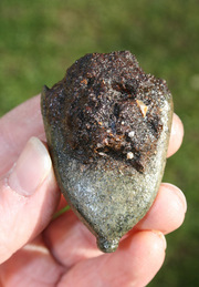 Metal Detector Finds - 16th Century Sword Scabbard Chape Metal Detector Finds - 16th Century Sword Scabbard Chape