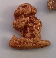 Raw Snoopy.jpg Raw Snoopy.jpg