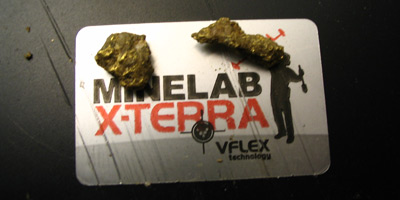 X-TERRA metal detector gold