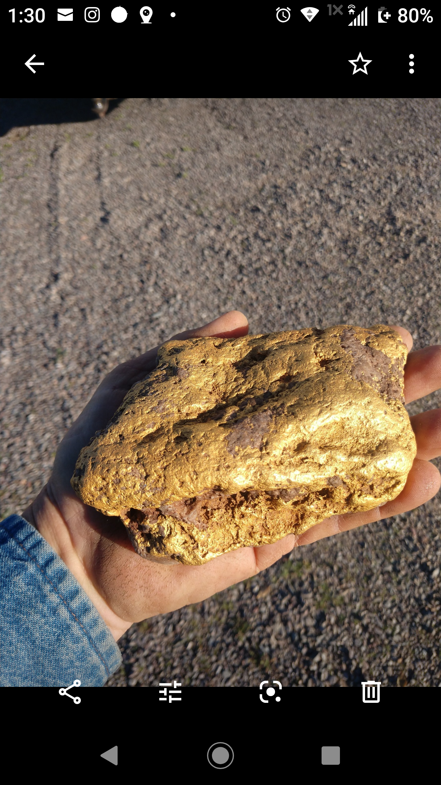 Largest Arizona gold nugget - Success Story