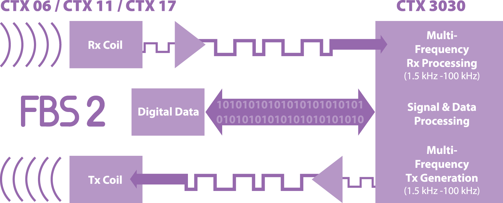 FBS 2 diagram