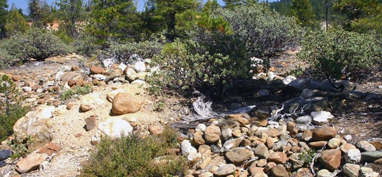 Piles of rocks and exposed bedrock between them indicate that this area was heavily mined in the past - I have found gold here