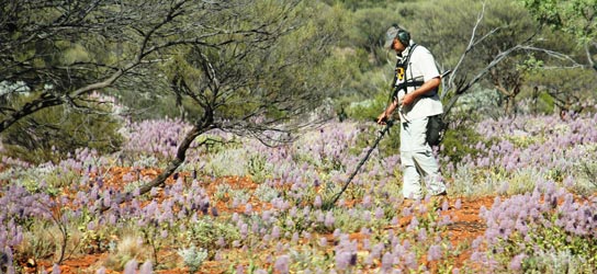 Steve Herschbach gold prospecting in Western Australia with a GPX 5000 gold detector