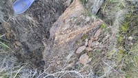 20180703_165241.thumb.jpg.2e0381827c3f0a7a5245b6fe86750cca.jpg 20180703_165241.thumb.jpg.2e0381827c3f0a7a5245b6fe86750cca.jpg