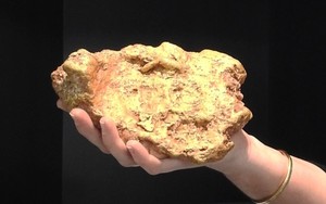 ducks-foot-nugget.jpg ducks-foot-nugget.jpg