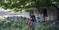 IMG-20190117-WA0089.jpg IMG-20190117-WA0089.jpg