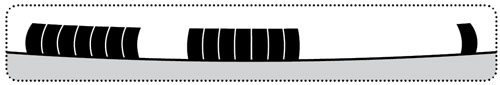 X-TERRA metal detector scale