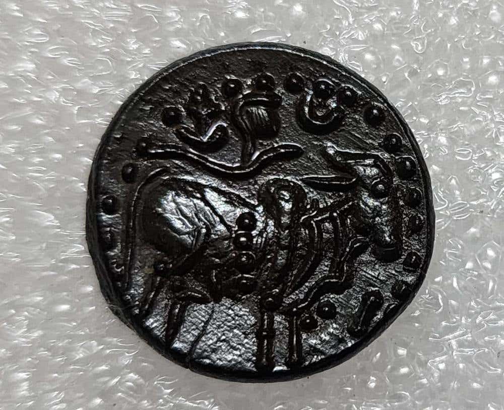 Pallava era coin found using a Minelab Metal Detector