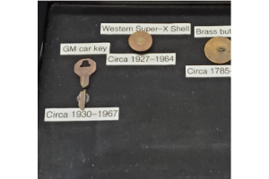 Finds in the Backyard